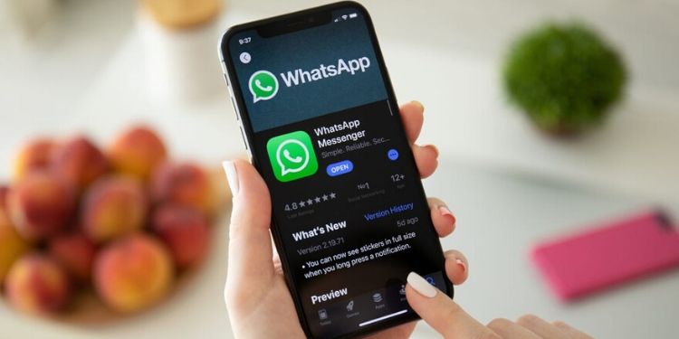 BackUp delle chat di whatsapp